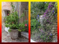 183 D23 BORMES LES MIMOSAS 1_000029